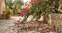 Why Your Bougainvillea is Dropping Leaves (And How to Save It) featured article